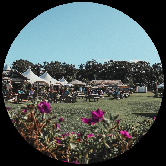 Image: Live Music & Food Truck at Hawk Haven Vineyard